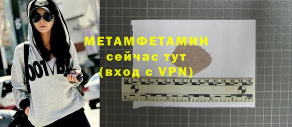 прущие грибы Каменногорск