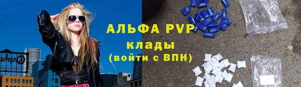прущие грибы Каменногорск