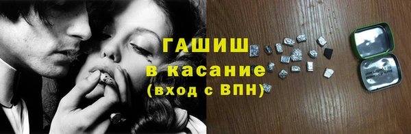 прущие грибы Каменногорск