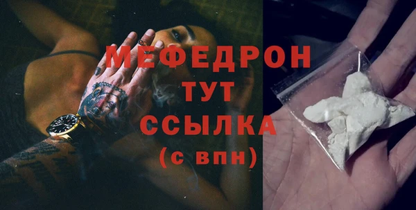 прущие грибы Каменногорск