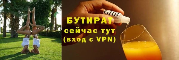 прущие грибы Каменногорск