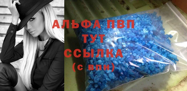прущие грибы Каменногорск