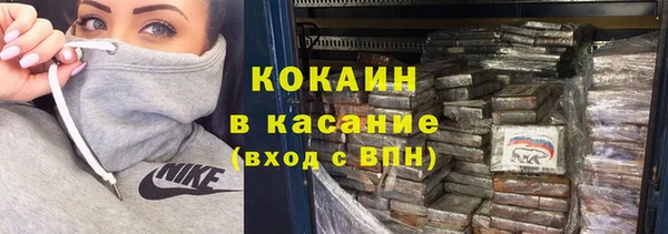 прущие грибы Каменногорск