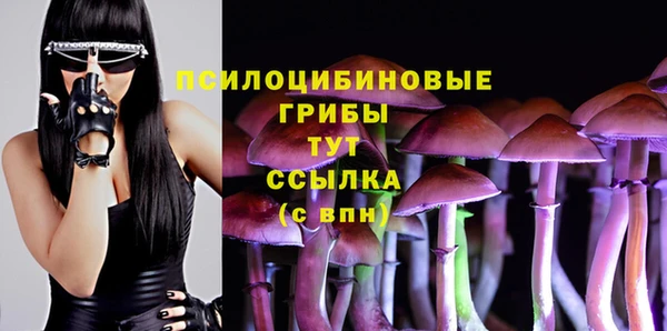 крисы Каменск-Шахтинский