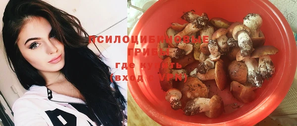 СК Каменка