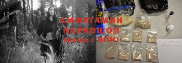 прущие грибы Каменногорск