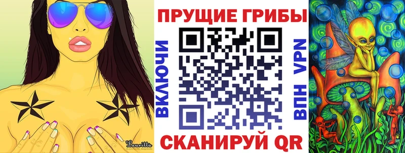Галлюциногенные грибы Psilocybe  Купить закладки  Армавир 